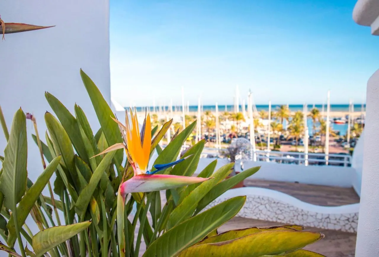 Apartment Popeye Suite: Puerto Marina Island Retreat with Rooftop Pool Benalmadena Spain